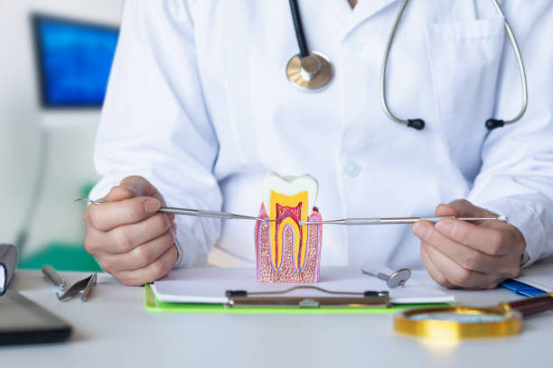 Best Emergency Dentist for Lost Fillings or Crowns in Trumann, AR